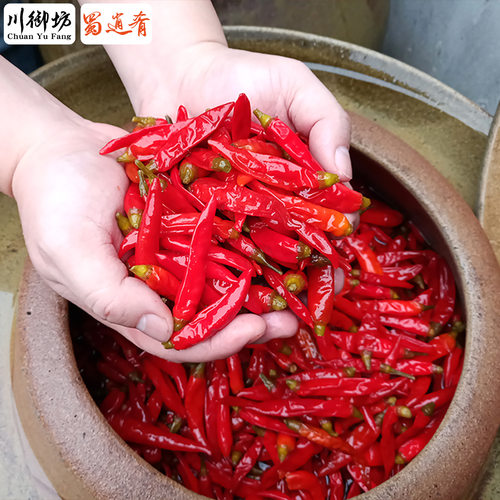 四川泡椒小米辣泡酸辣椒泡朝天椒泡菜泡姜酸海椒红小米辣椒野山椒 - 图2