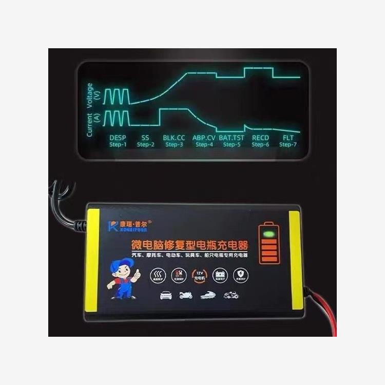 12v电瓶充电器铅酸电池摩托车三轮车汽车SUV货车地摊车蓄电池通用 - 图2