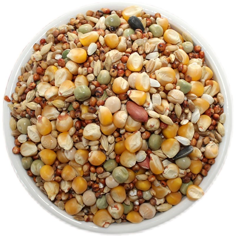 鸽粮A级营养赛飞饲料鸟食信鸽观赏鸽肉鸽粮鸽子食50斤包邮,淘宝优惠券,粉丝福利购,淘宝优惠卷