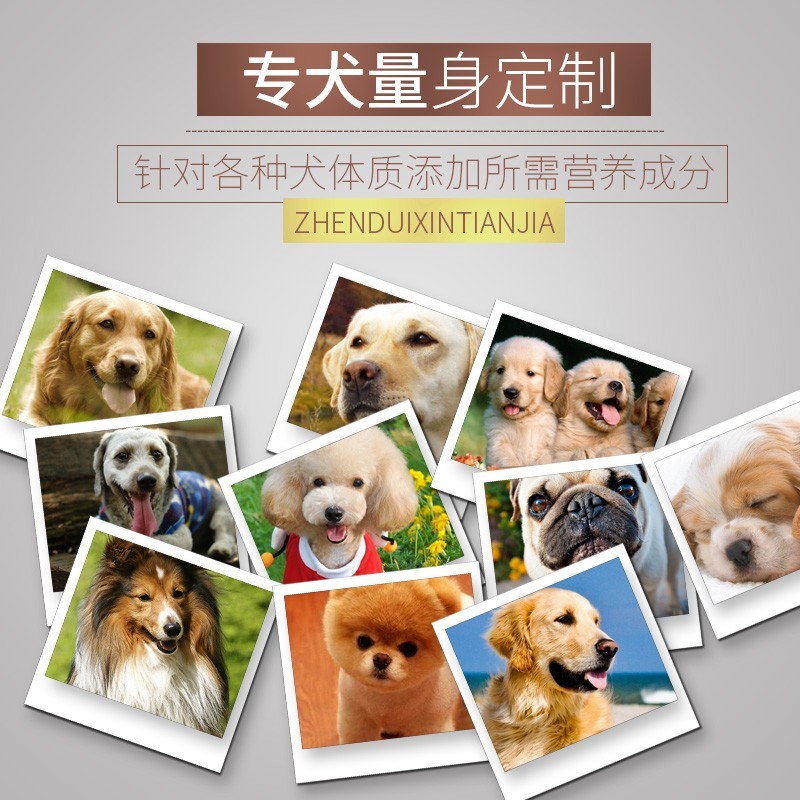 威尔逊馋嘴法斗专用狗粮幼犬成犬斗牛犬狗粮10斤法牛英牛冻干粮30 - 图3