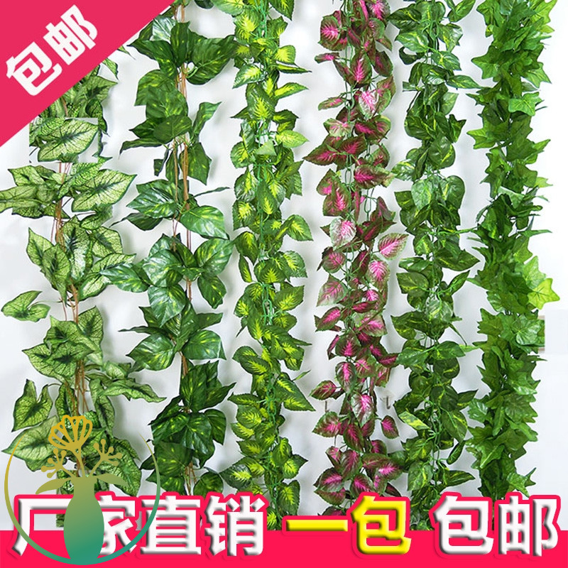 仿真藤条绿萝叶子假植物常青藤包下水管道装饰塑料花缠空调管遮挡 - 图0