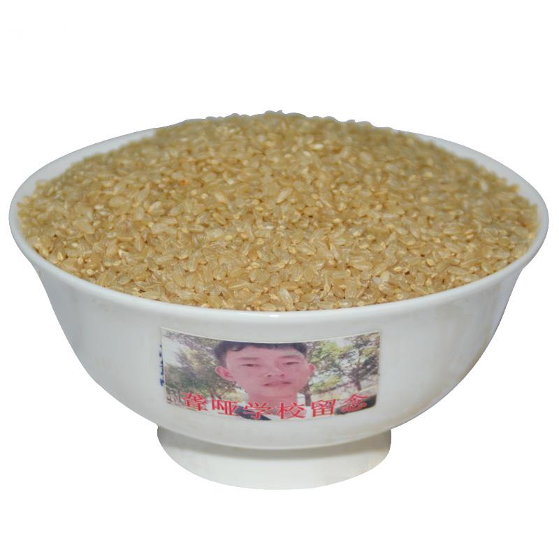 东北糙米当季新米5斤优质五谷杂粮糙米糊粗粮健身胚芽米饭槽米 - 图3
