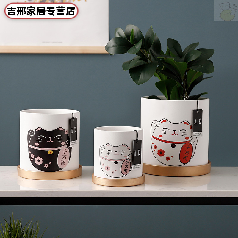 猫花盆推荐品牌 新人首单立减十元 21年6月 淘宝海外