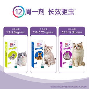 贝卫多猫咪体外驱虫药氟雷拉纳滴剂