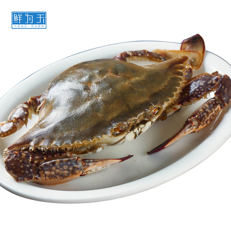 宁波特产醉蟹红膏呛蟹生呛螃蟹即食整只腌蟹