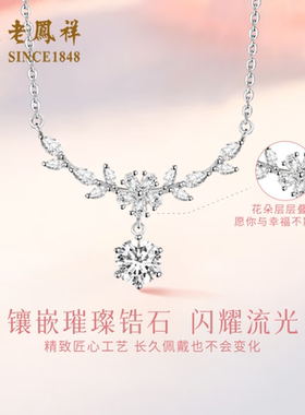 老凤祥紫藤花开项链女款轻奢925足银百搭锁骨链圣诞节礼物送女友