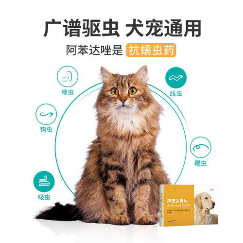 宠物小狗狗猫咪用体内体外一体内驱虫药专用阿苯达唑片幼猫幼犬用 - 图1