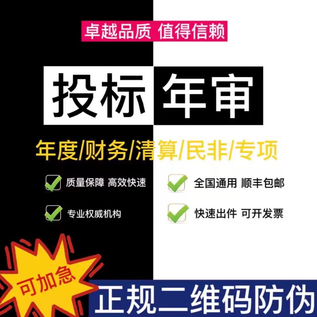 公司审计咨询企业投标财务报告年度报表清算离任年检审计咨询培训-图0