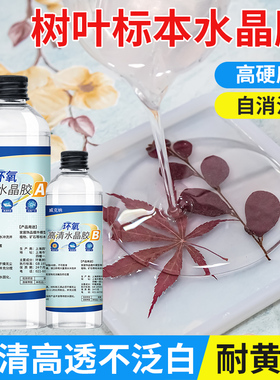树叶昆虫标本制作高清通透