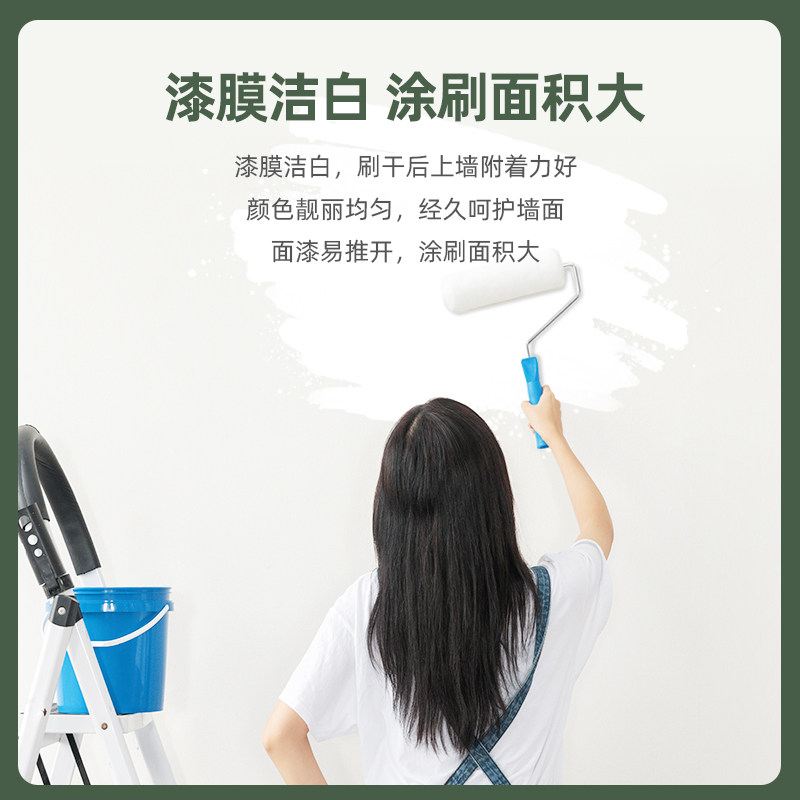 Bards pure white interior wall latex paint