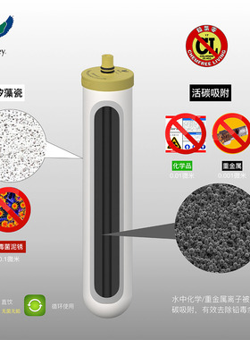 Fairey飞力净水陶瓷滤芯家用直饮活性炭芯可刷洗循环使用除氯去锈