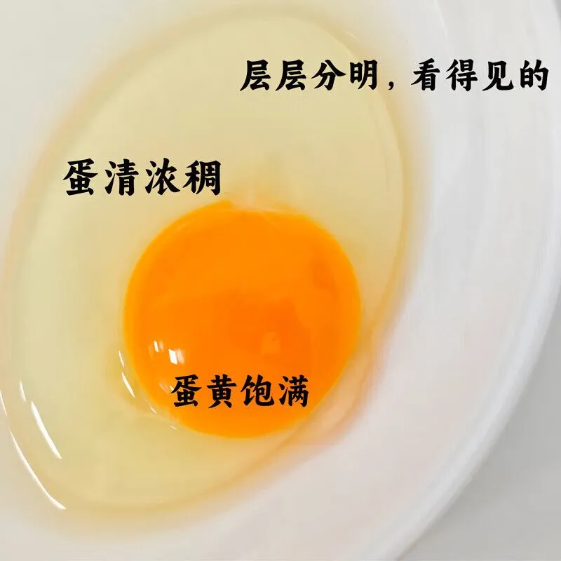 【土鸡蛋礼盒】助农色凤堰秦岭山林散养蛋礼盒福利送礼新日期陕西,淘宝优惠券,粉丝福利购,淘宝优惠卷