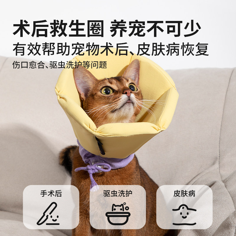 HiDREAM猫咪伊丽莎白圈术后绝育头套狗狗小型 犬加深防舔比熊泰迪,淘宝优惠券,粉丝福利购,淘宝优惠卷