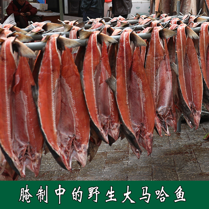 咸大马哈鱼新鱼整条腌制红肉马哈鱼东北黑龙江抚远特产纯江鱼咸鱼