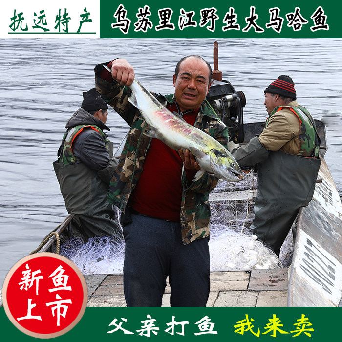 咸大马哈鱼新鱼整条腌制红肉马哈鱼东北黑龙江抚远特产纯江鱼咸鱼