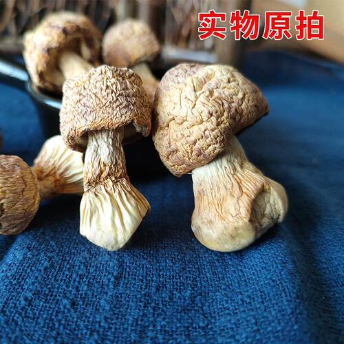 姬松茸干货 500g 云南特产无硫巴西菇食用野生菌菇松茸搭配羊肚菌 - 图1