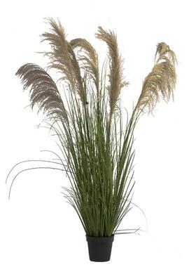 北欧仿真植物芦苇网红客厅绿植大束落地摆件室内装饰假花狗尾巴