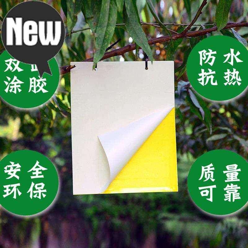 100片装菇蝇蚊虫黄板双面w粘虫板诱虫板茶叶保护绿色防控双面粘板-图0