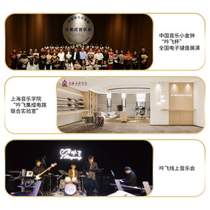 吟飞61键电子琴初学者 成年入门 儿童考级幼师 专业家用便携TB100