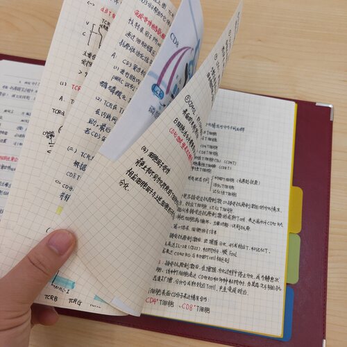 【油蜡牛皮纹 酒红】9孔B5可拆卸软皮面活页本理财记账本教师备课本听课本5mm方格网格本格子本出入库记录本 - 图2