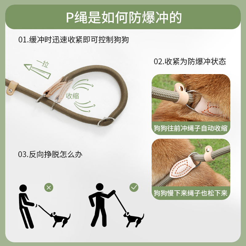 kimpets 狗狗牵引绳防爆冲P绳中大型犬狗链遛狗绳p链狗链子栓狗绳 - 图1