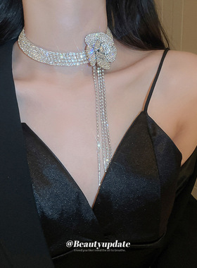 镶钻花朵超闪流苏项链欧美轻奢choker锁骨链礼服设计百搭通勤饰品