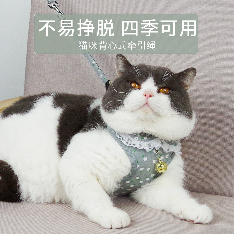 猫咪牵引绳溜猫背带链子小猫拴猫绳背心式防挣脱外出专用遛猫神器 - 图1