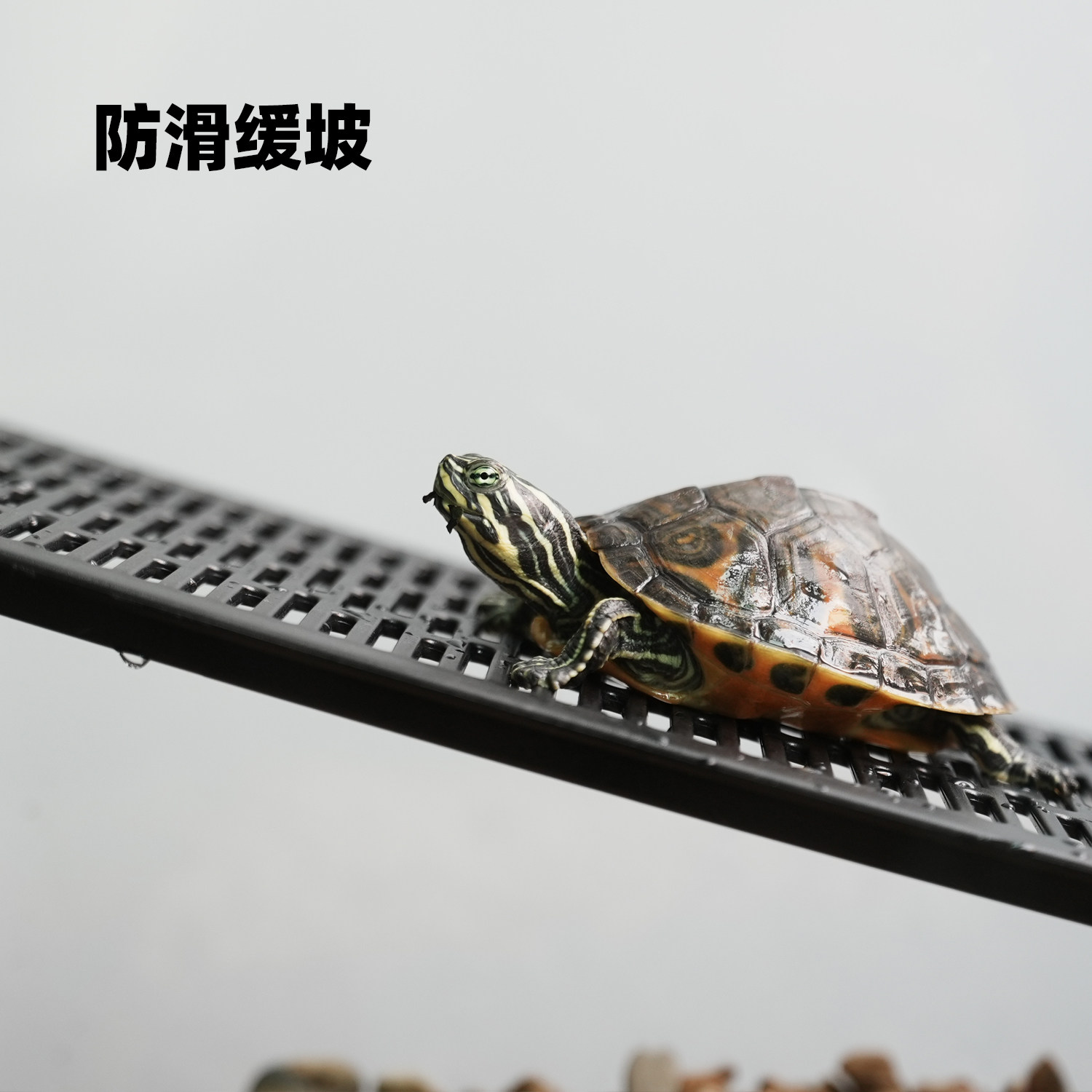 乌龟缸水陆专用爬坡板沙池爬梯周转箱进出晒背爬架深水晒台斜坡,淘宝优惠券,粉丝福利购,淘宝优惠卷