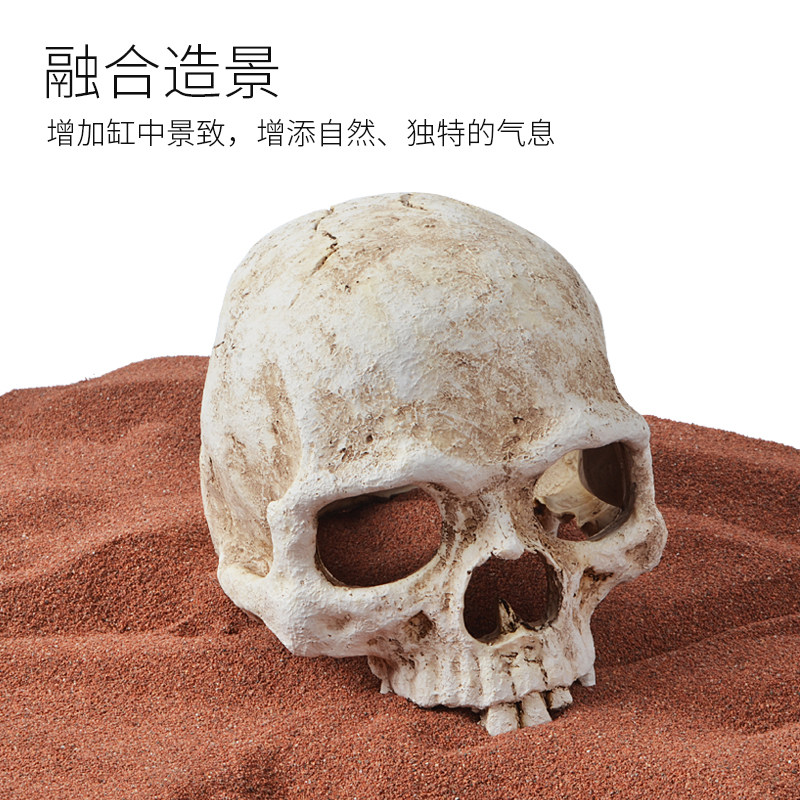 爬宠骷髅头骨躲避洞窝蜥蜴蛇守宫爬虫箱乌龟鱼缸水族造景装饰用品,淘宝优惠券,粉丝福利购,淘宝优惠卷