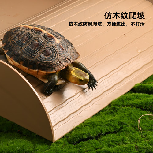 乌龟特大号加深泡澡盆黄缘半水龟专用水盆带排水陆龟爬宠饮水盆 - 图3