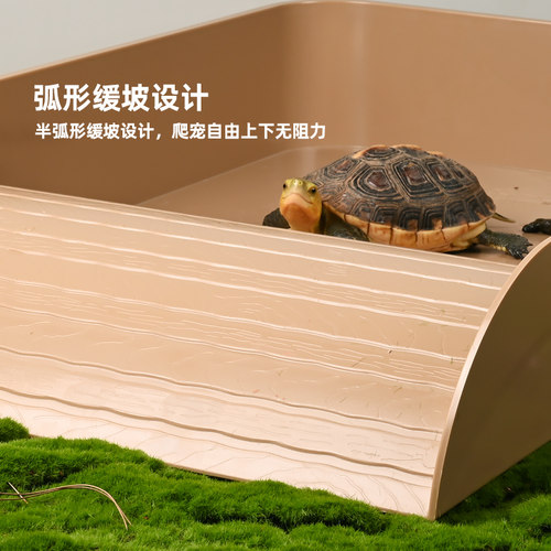 乌龟特大号加深泡澡盆黄缘半水龟专用水盆带排水陆龟爬宠饮水盆 - 图2