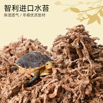 Turtle Hibernating Special Sterile Water Moss Reptile Yellow Edge Basil Turtle Warm Over Winter Chile Toss Mat Material Supplies