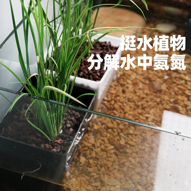 乌龟缸鱼缸水培植物盒固定器绿植隔离定植篮支架生态造景装饰配件,淘宝优惠券,粉丝福利购,淘宝优惠卷