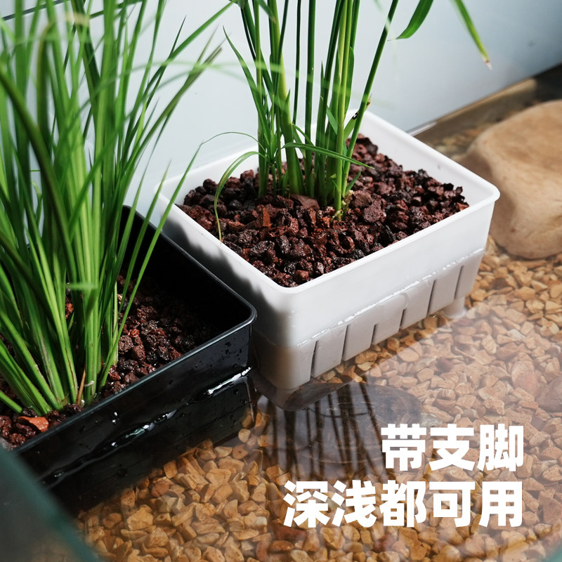 乌龟缸鱼缸水培植物盒固定器绿植隔离定植篮支架生态造景装饰配件,淘宝优惠券,粉丝福利购,淘宝优惠卷