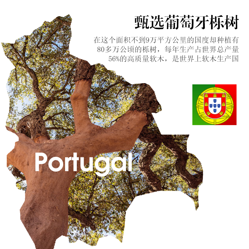爬宠攀爬软木棒爬虫树栖勾亚睫角R属巨人守宫姥爷树蛙饲养箱造景-图1