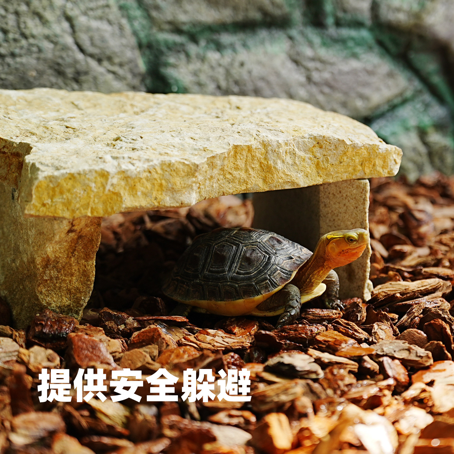 乌龟专用天然石头晒背爬台爬宠蜥蜴黄缘躲避洞屋龟缸造景装饰用品,淘宝优惠券,粉丝福利购,淘宝优惠卷