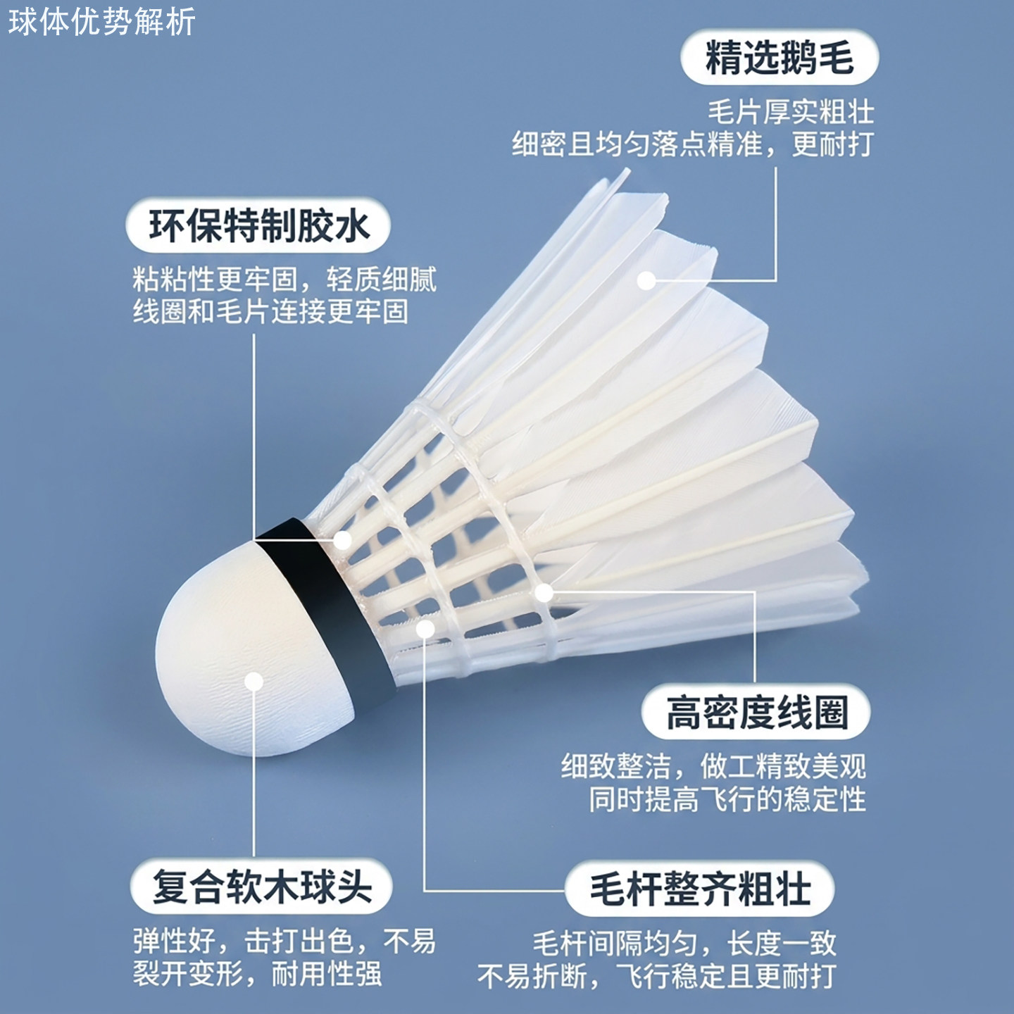正品12只装羽毛球鹅毛球稳定耐打王室内室外训练比赛用球打不易烂