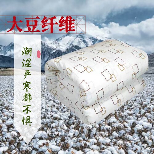 定做手工大尺寸高个加长大豆空调四季学生宿舍家用加厚冬季被子 - 图2