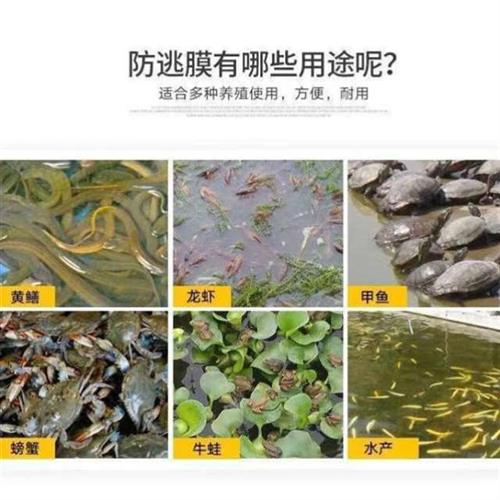 鱼塘膜防逃膜加厚龙虾甲鱼螃蟹大闸蟹水产养殖膜防渗膜黑膜整卷-图2