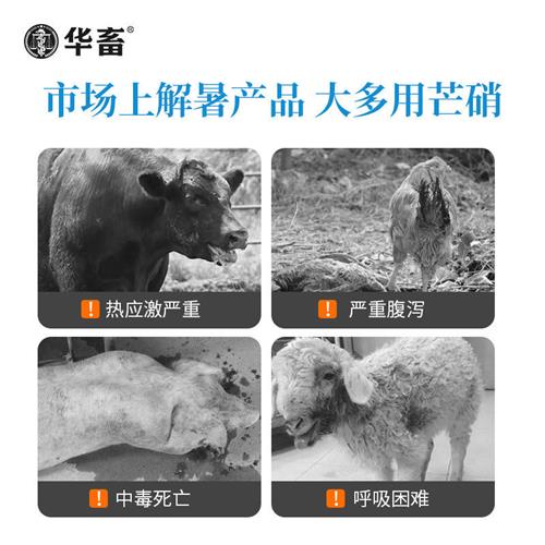 华畜冰爽VC兽用降温鸡鸭鹅兔猪牛羊饲料添加剂解暑抗应激VE整箱 - 图1