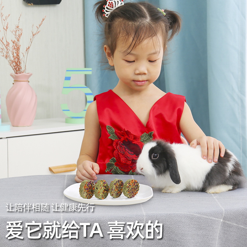 兔子磨牙小零食草饼兔兔玩具用品草砖豚鼠荷兰猪龙猫营养饲料专用-图3