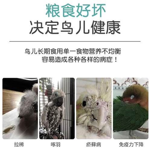 鹦鹉零食训练奖励专用啃咬上手磨牙牡丹虎皮小鸟磨嘴增肥面包虫干 - 图0
