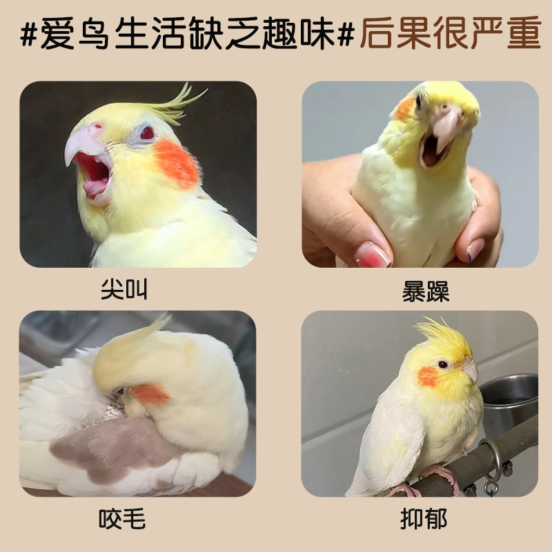 玄凤牡丹鹦鹉啃咬玩具麦秆磨牙磨嘴专用天然小麦秸秆解闷自嗨用品,淘宝优惠券,粉丝福利购,淘宝优惠卷