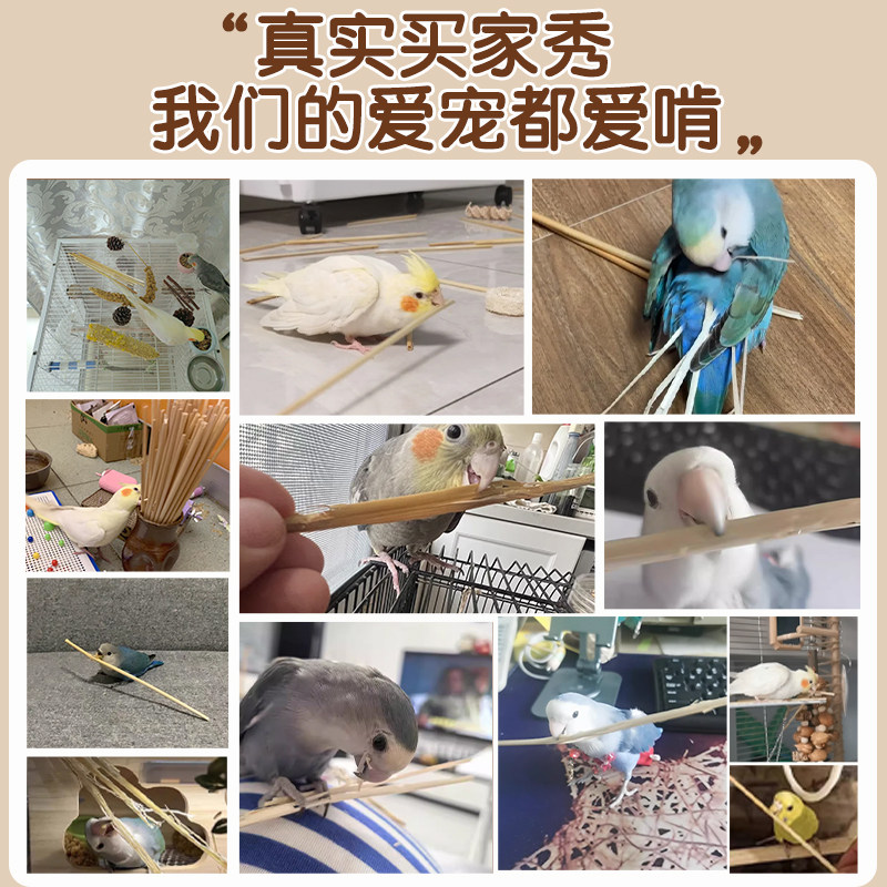 玄凤牡丹鹦鹉啃咬玩具麦秆磨牙磨嘴专用天然小麦秸秆解闷自嗨用品,淘宝优惠券,粉丝福利购,淘宝优惠卷