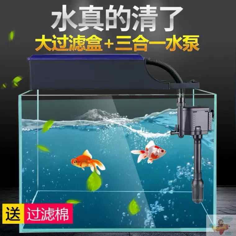 金魚水泵 新人首單立減十元 21年9月 淘寶海外