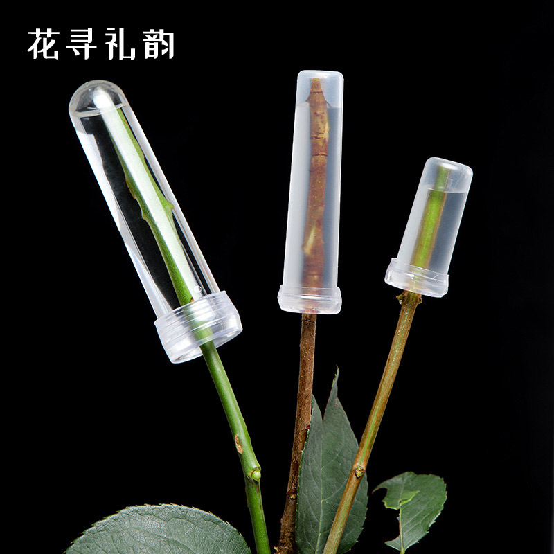 鲜花保水管营养管培养管洋兰管玫瑰花养花保鲜花束花店用品材料 - 图0