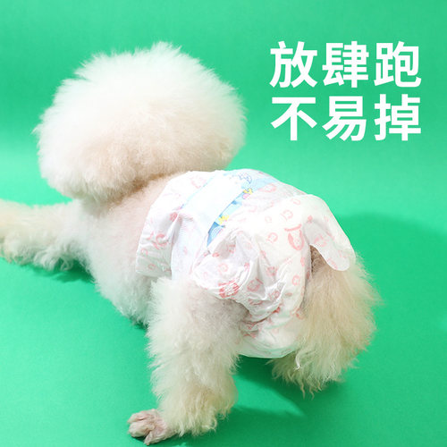 柴犬柯基小型犬狗狗生理裤例假月经姨妈裤一次性不易漏防骚扰防舔 - 图0