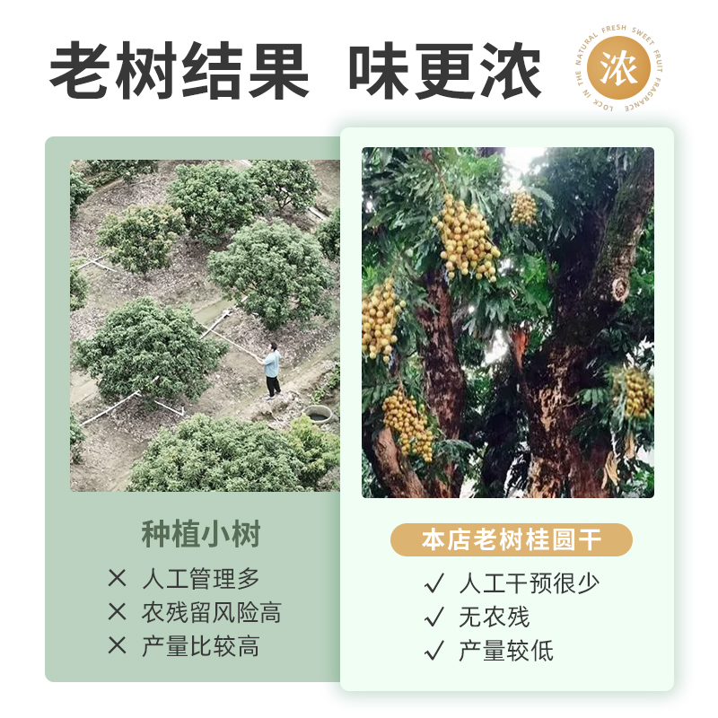 中国药材龙眼肉干中药材桂圆肉干桂圆红枣枸杞茶中药饮片补气养血 - 图0