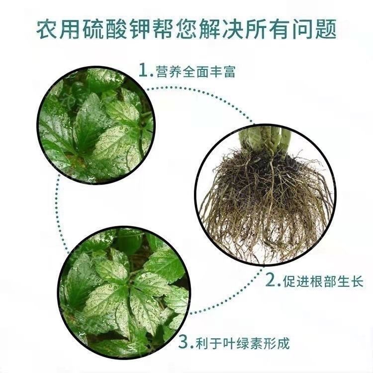 硫酸钾纯钾肥小颗粒晶体叶面肥水溶肥养花卉绿植瓜果蔬菜通用肥 - 图2