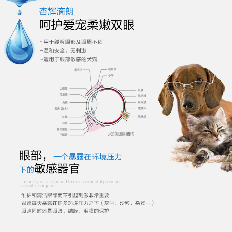 杏辉滴朗见大微素狗狗猫咪眼药水抗菌消炎红肿流泪宠物滴眼液通用 - 图0